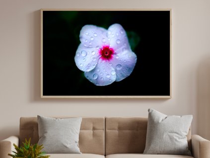 Wall Art - Bloom