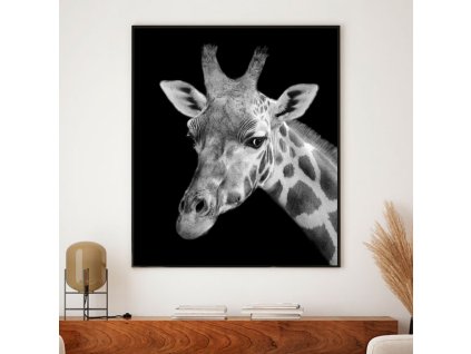 Wall Art - Giraffe