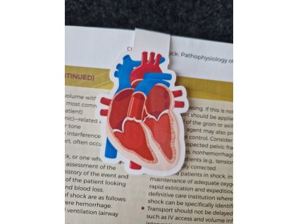 Magnetická záložka srdce  #magnetickazalozka #zalozka# kniha