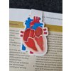 Magnetická záložka srdce  #magnetickazalozka #zalozka# kniha