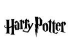 Posteljnina Harry Potter
