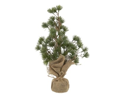 IB Laursen Zeder unecht in Jutetopf 34 cm