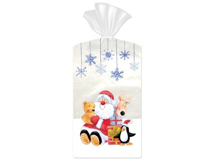 celofanovy sacek vanocnimedium 15x24 6cm 10ks baleni zell4 201904031051521845088399