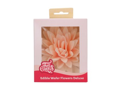 FunCakes2025 F53775 FunCakes Peony Ombre Large 1 jpg 1