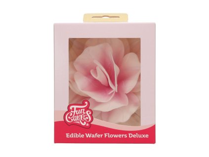 FunCakes2025 F53840 FunCakes Pastella Pink Ombre Large 1 jpg 1