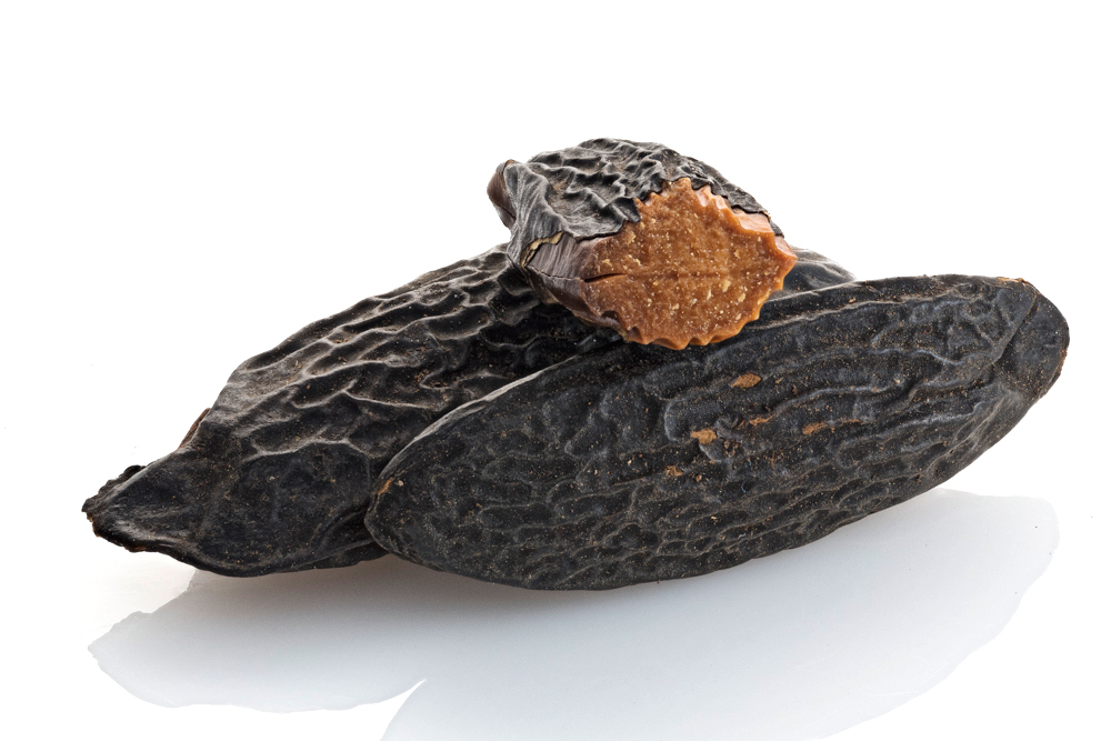 Tonka beans Fazole Tonka, 20g Vše pro cukráře najdete na LKstore.cz