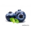 408 blueberry fruit