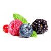 vyr 804 vyr 21Forest Fruit 500x500