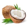 natural coconut 500x500