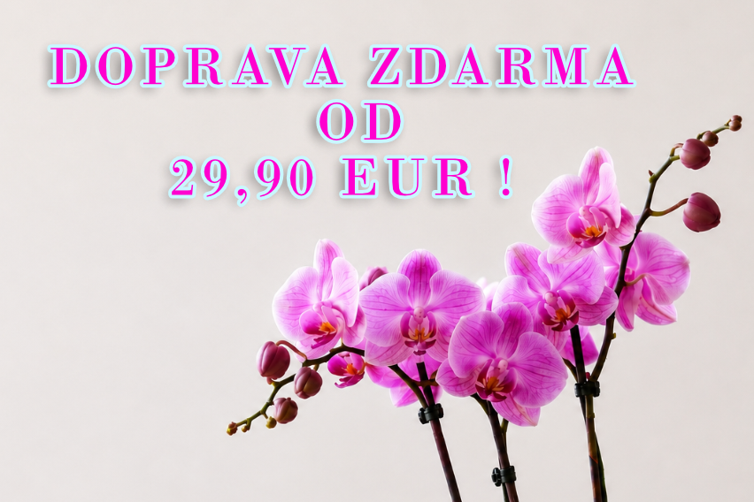 Doprava zdarma