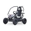 Buggy Leramotors Razor II Deluxe 1000W Černá