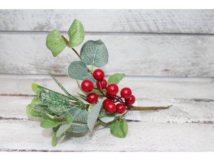 Větvičky s červenými bobulemi