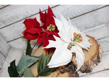 Umělá Vánoční hvězda – bílá krása, která nikdy nezvadne