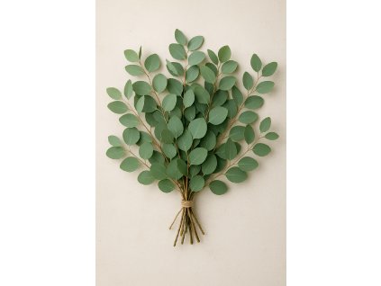 fea5f54f 50bb 4603 b16c 3458e85f8dc0