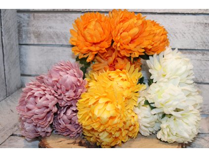 Chryzantéma pugét s pěti květy