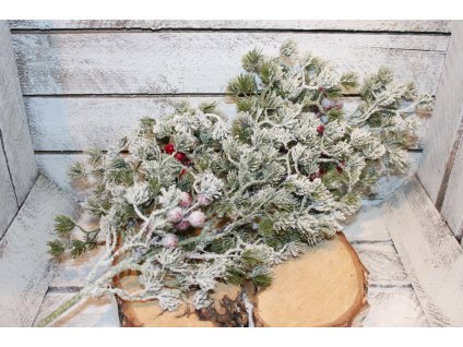 Zasněžená modřínová větev