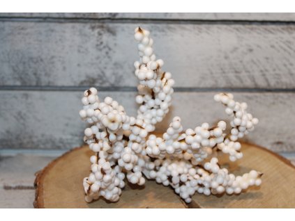 Větvička s bílými bobulemi ve svazku