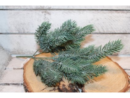 Větev jehličí 5 výhonů