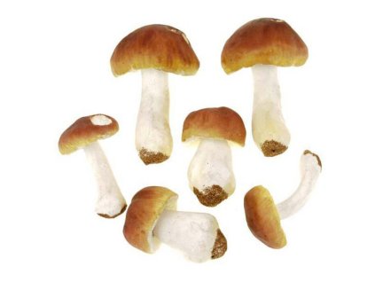 4C84D0847CB5D5D5965E9D063E043666E560125E 1 pl