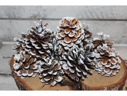 Barvené šišky – přírodní kouzlo s jemným bílým nádechem