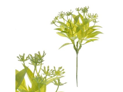 90F355B840328937BF173A2B3ED943B7DCE40FA1 1 pl