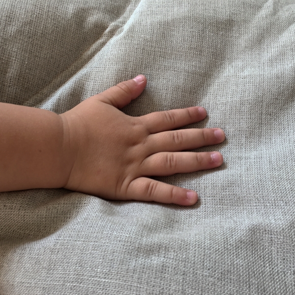 Proč ve svém domově přivítat len?