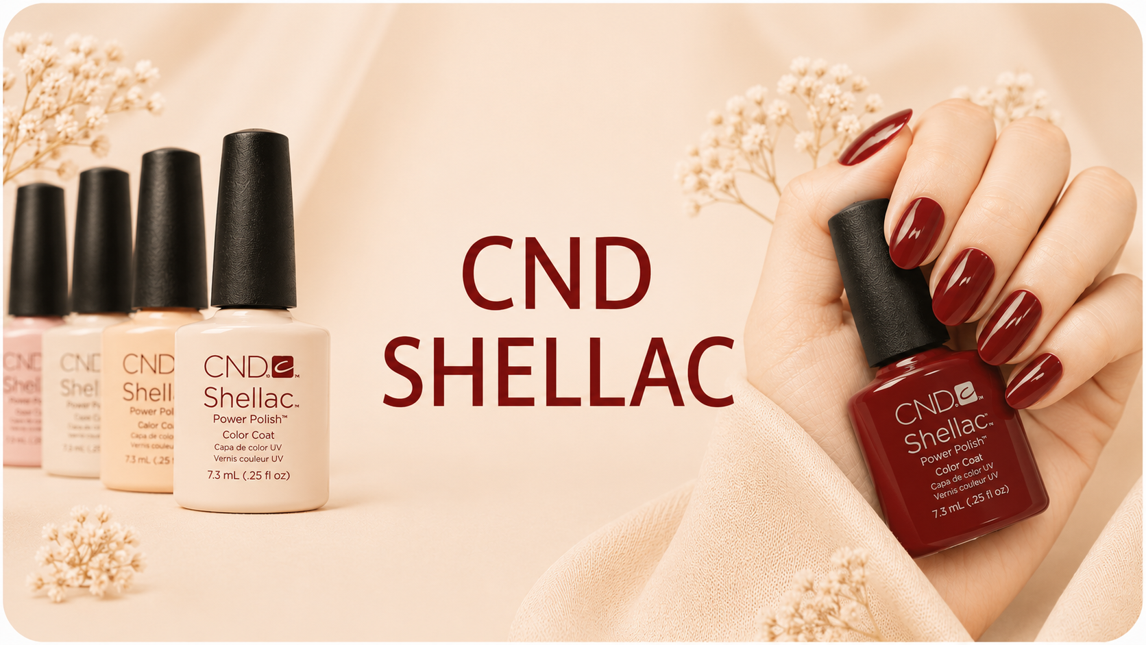 01 cnd