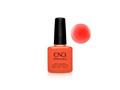 cnd shellac ig night ed