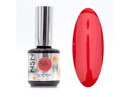 NSN Professional UV/LED Gel lak 58