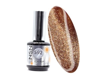 Profesionální gel lak 592