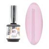 NSN Professional UV/LED Gel lak 81