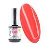 Profesionální gel lak 480