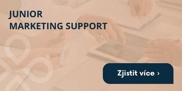 Junior Marketing Support