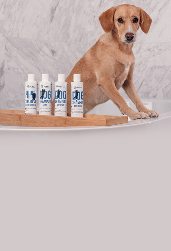 Dáváme přírodě smysl pro krásu