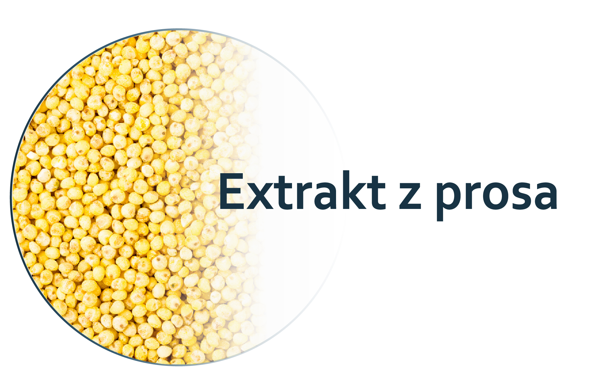 aktivní látky-extrakt proso