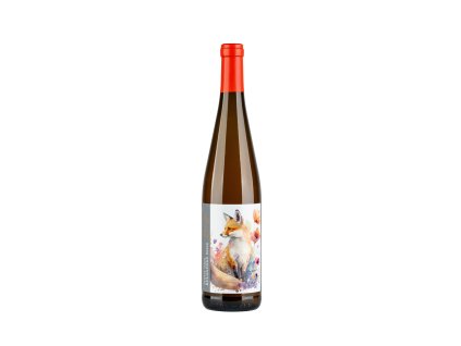 Pinot gris ORANGE