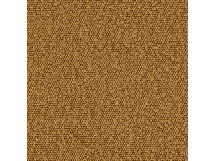 Boucle mustard