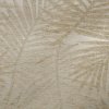 Fern