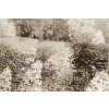 Kissen - Winter
