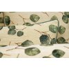 Pillow - Eucalyptus gobelin
