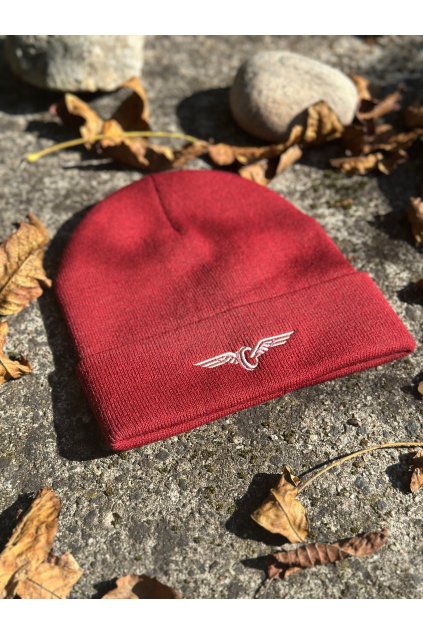 Winter beanie WINGED WHEEL - 2025 collection
