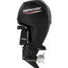 lodni-motor-mercury-f150-l-efi-3