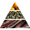 etrusco antico