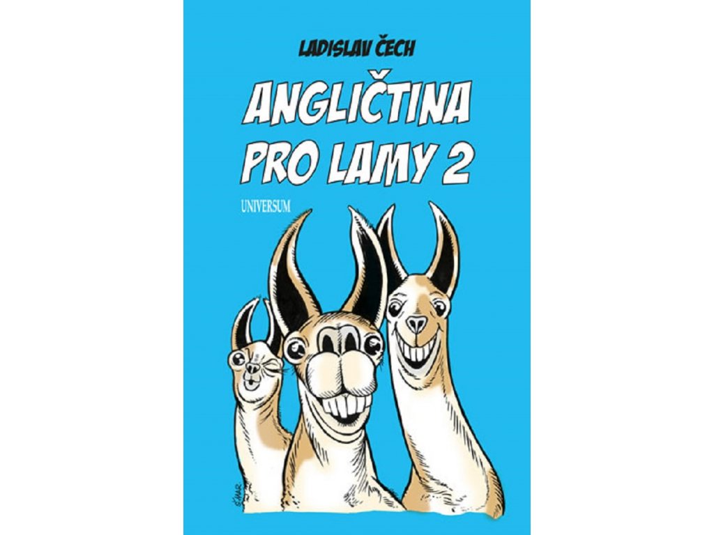 anglictina pro lamy2 01