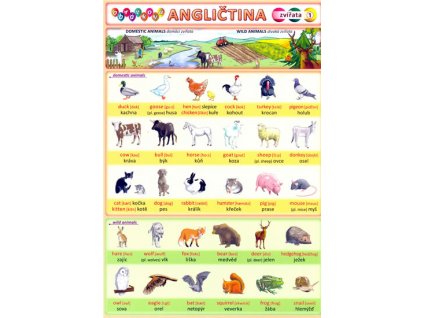 Obrázková angličtina 1 - Zvířata