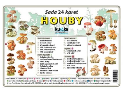 Houby - sada 24 karet A7
