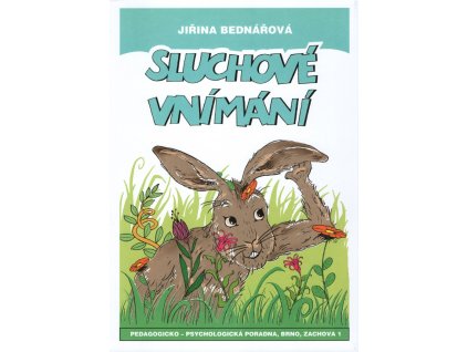 Sluchove vnimani PPP Brno