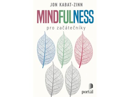 Mindfulness pro zacatecniky