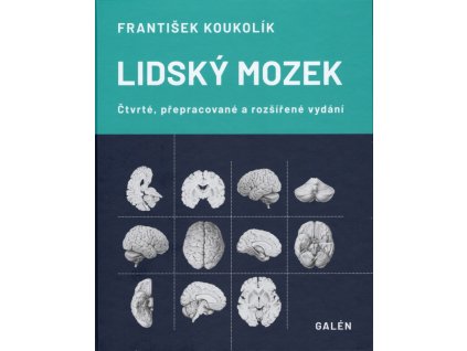 Lidsky mozek Galen