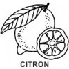 Obrázkové razítko - CITRON